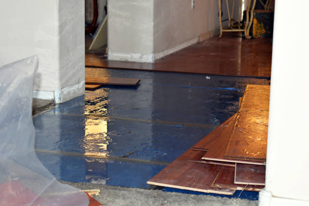 Professional Basement Flooding technician working in Waring, TX
